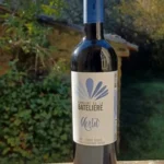 IGP Var Sainte-Baume Rouge Merlot