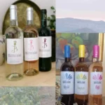 Carton découverte "toute la gamme" AOP et IGP