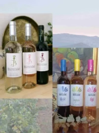 Carton découverte "toute la gamme" AOP et IGP