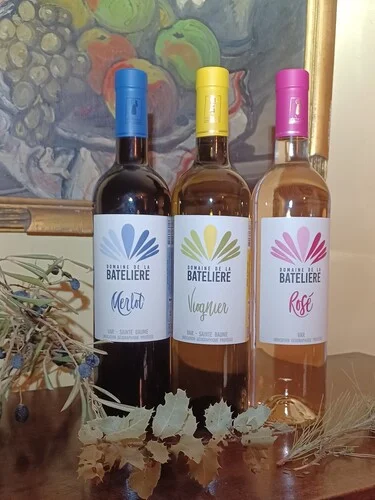 Carton découverte Vin de Pays du Var (IGP, 2 Rouges, 2 Rosés, 2 Blancs)